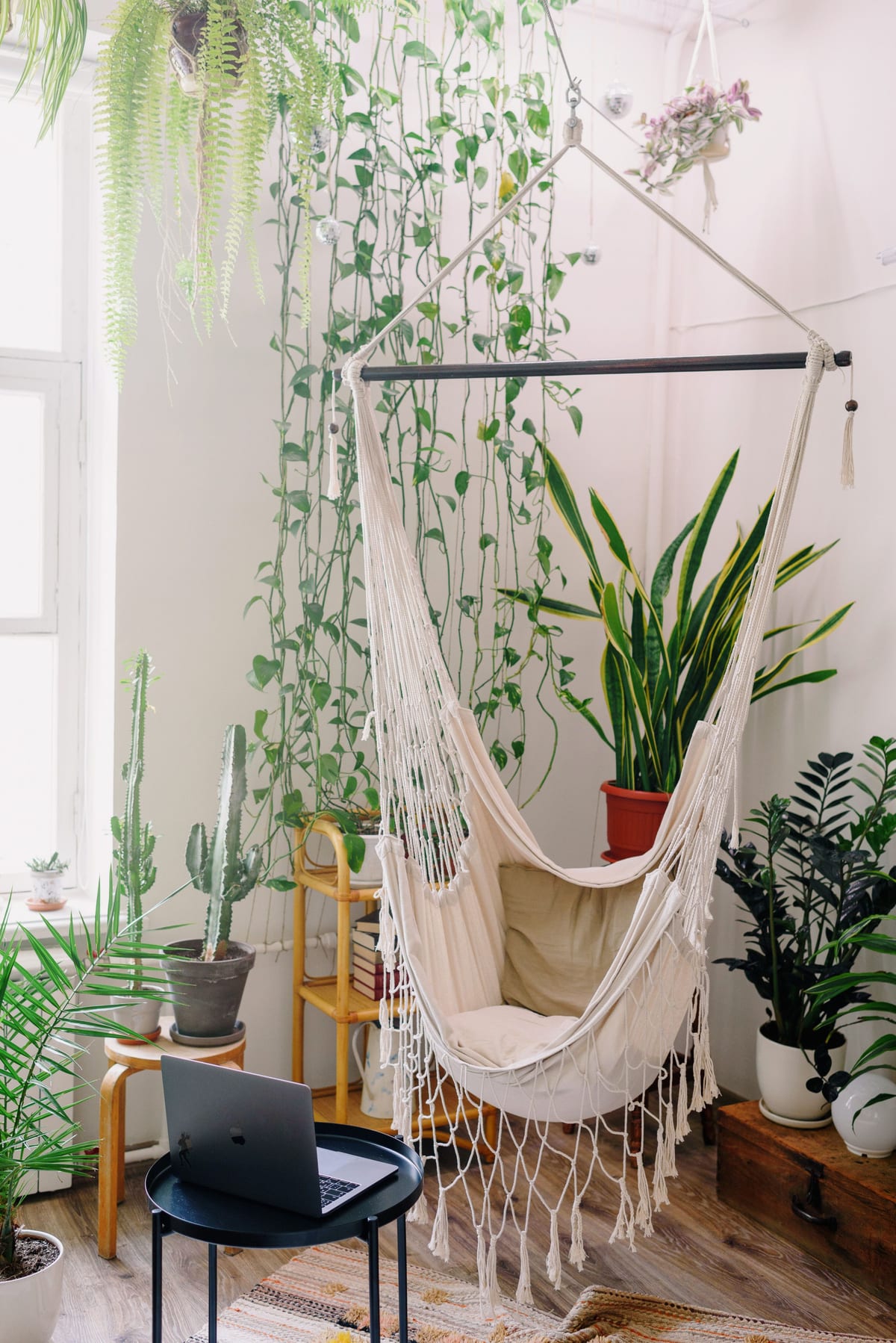 A hanging hammock beside a laptop table and dense indoor plants.