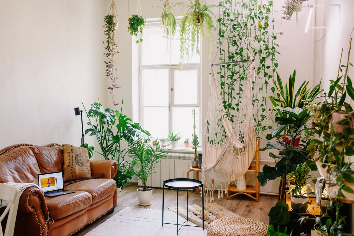 A leather sofa, small black table and hammock surrounded by plants near a tall window.