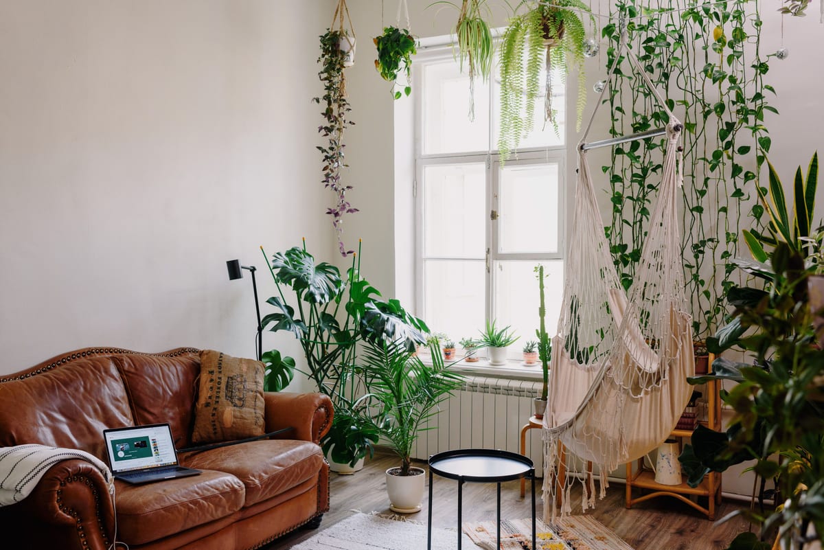 The leather sofa and plant-filled window viewed across the living room.