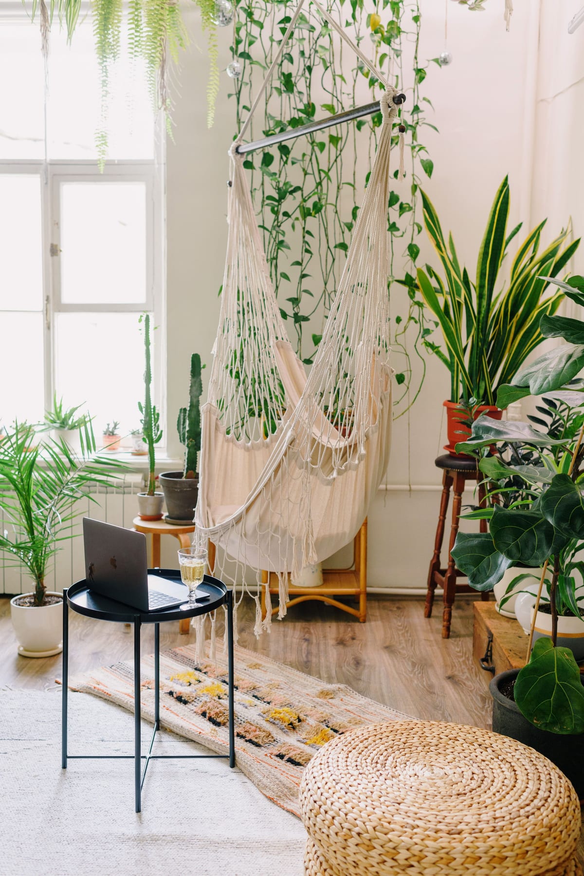 A laptop table near the window, framed by a hammock and trailing plants.