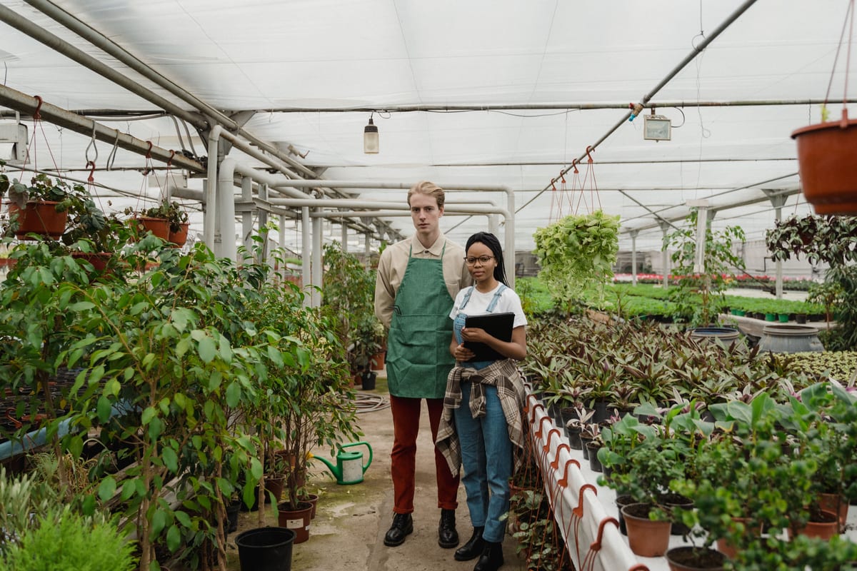 Two workers standing among benches of green plants inside a greenhouse.