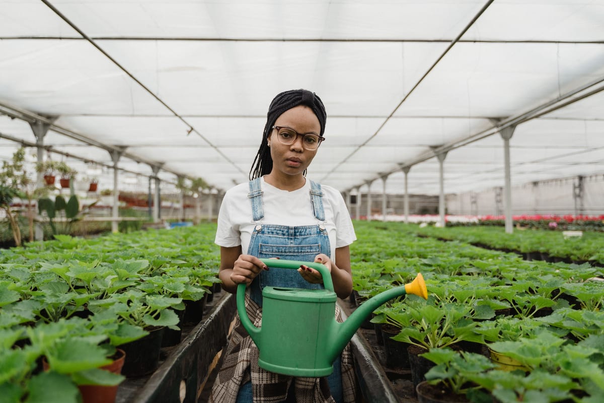 A greenhouse worker holding a green watering can beside benches of plants.